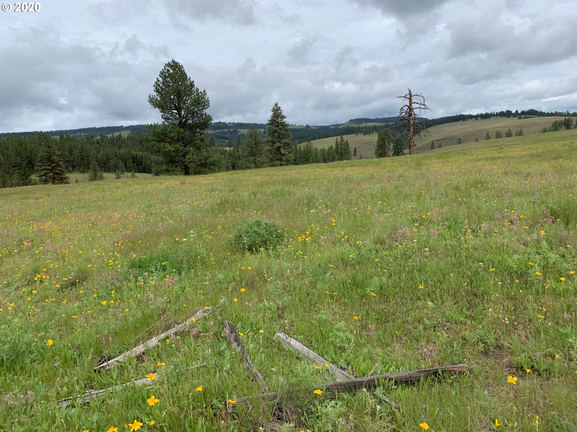 0 Charolais Road, Unit 1201 Enterprise, OR 97828 - Photo 4 of 8 Gallery Image 4
