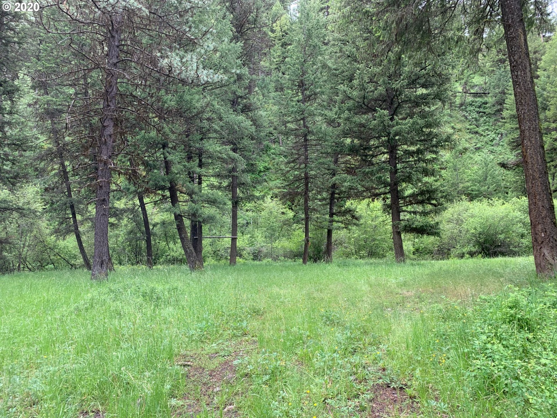 0 Charolais Road, Unit 1201 Enterprise, OR 97828 - Photo 6 of 8 Gallery Image 6