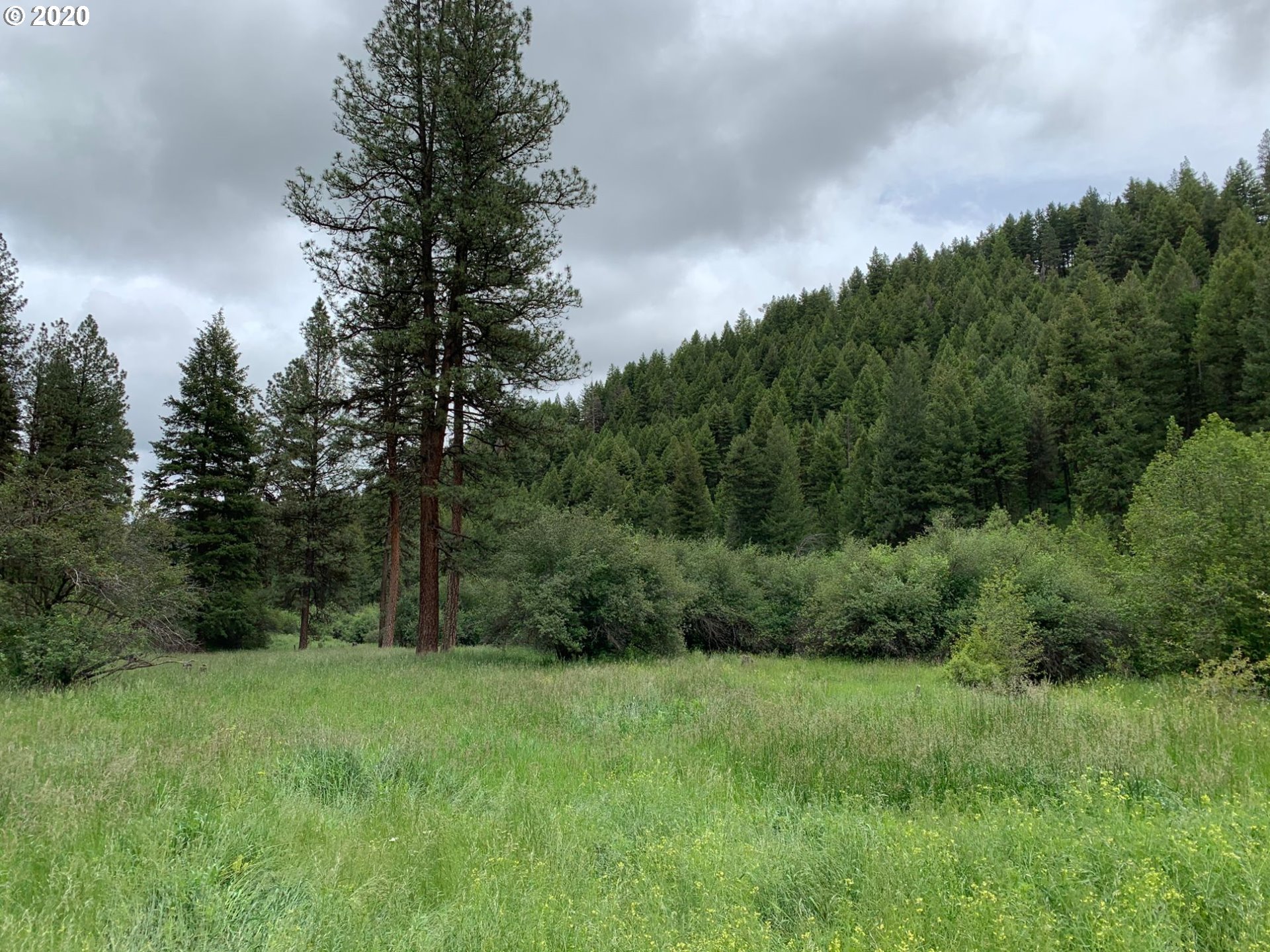 0 Charolais Road, Unit 1201 Enterprise, OR 97828 - Photo 7 of 8 Gallery Image 7