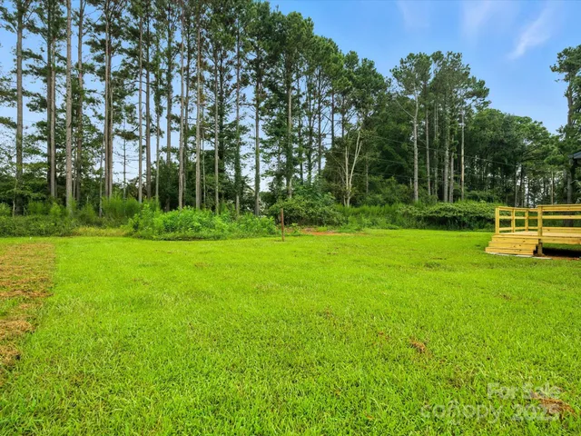 a view of a park with large trees