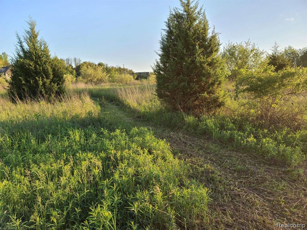 0 Dutcher Road Howell, MI 48843 - Photo 13 of 19