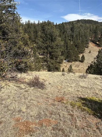 a view of a covered with snow in the background