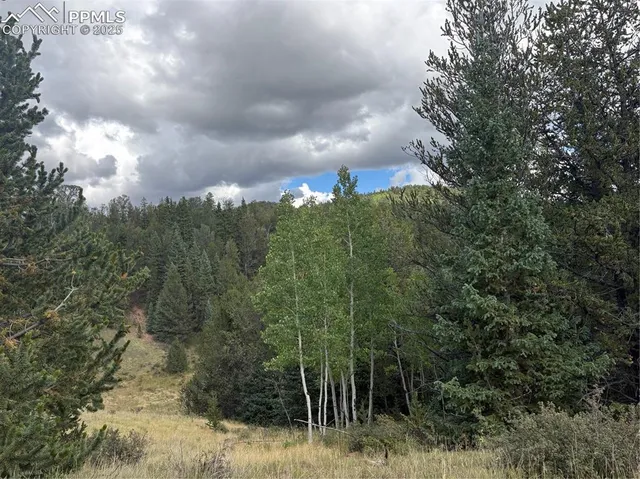 a view of a city with lush green forest