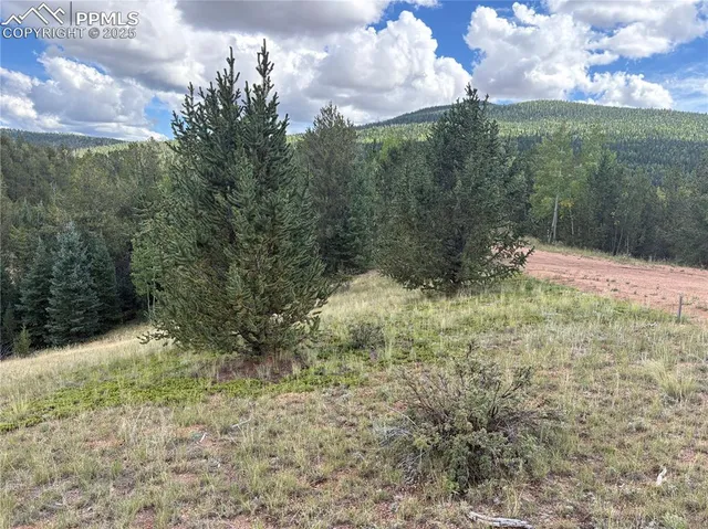 a view of outdoor space and yard