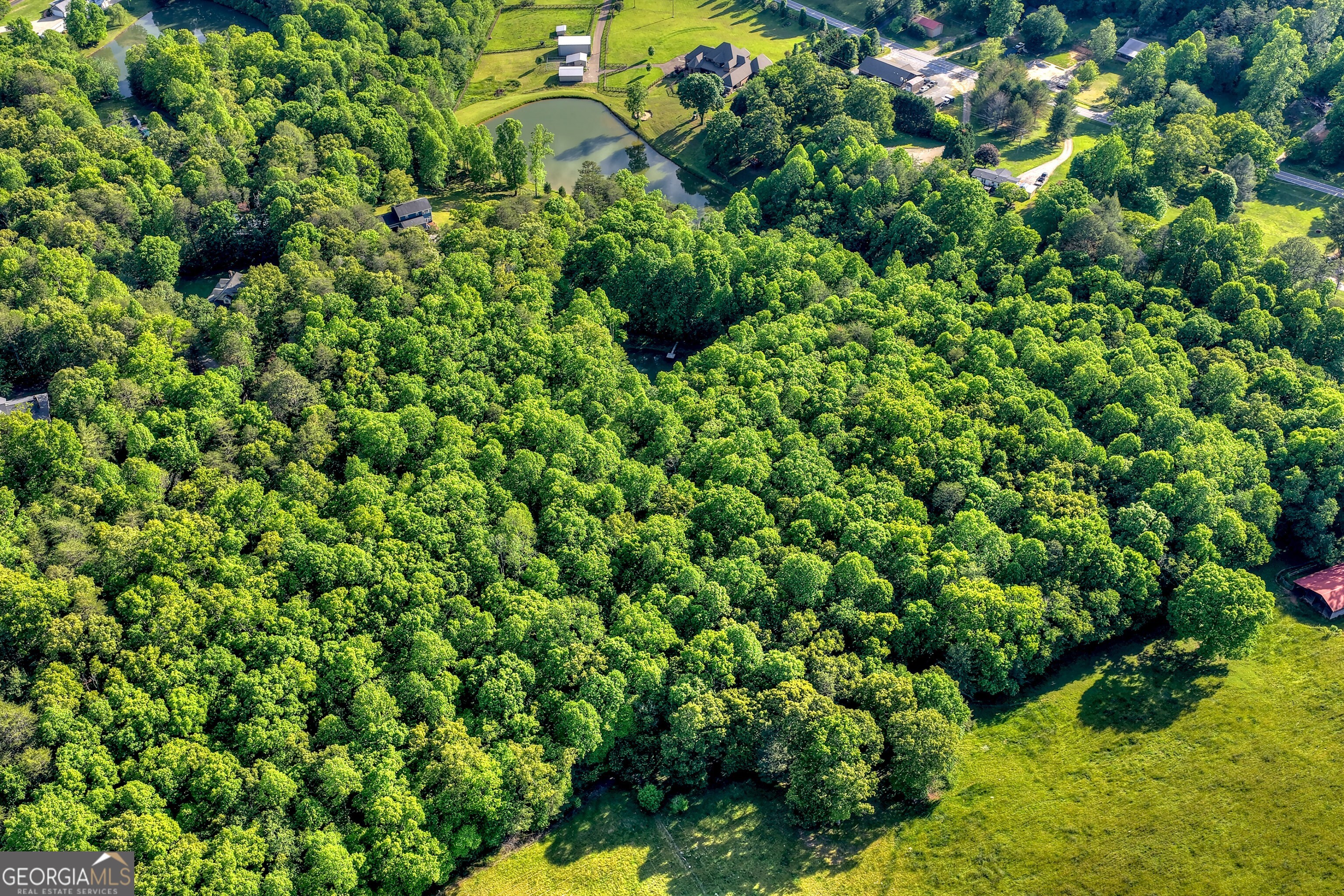 8-ac Mcnelley Road Morganton, GA 30560 - Photo 15 of 47