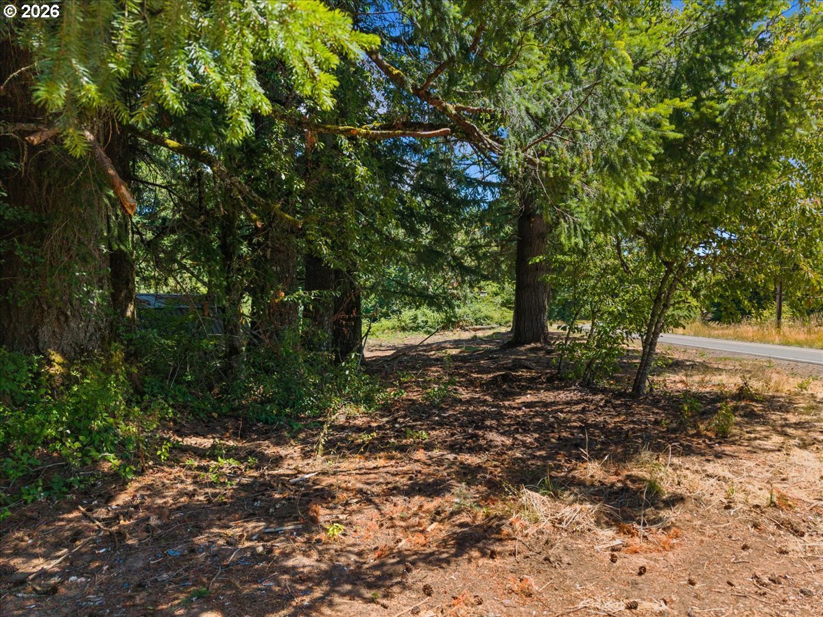 20802 Northwest Pumpkin Ridge Road North Plains, OR 97133 - Photo 11 of 18