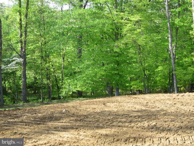 300 Patterson Mill Road Bel Air, MD 21015 - Photo 2 of 3 Back yard