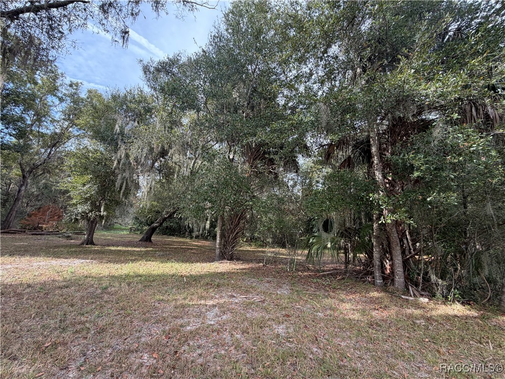 No Address No Address 201st Street Inglis, FL 34449 - Photo 5 of 9