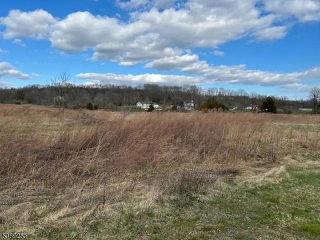 a view of a dry yard with trees