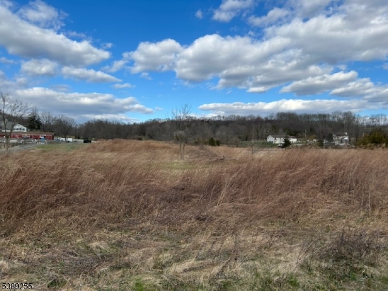 80-82 George Hill Road Branchville, NJ 07826 - Photo 6 of 12 a view of a dry yard with trees