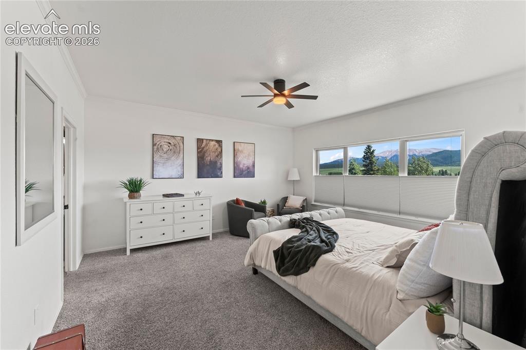 106 Joshua Road Divide, CO 80814 - Photo 24 of 39
