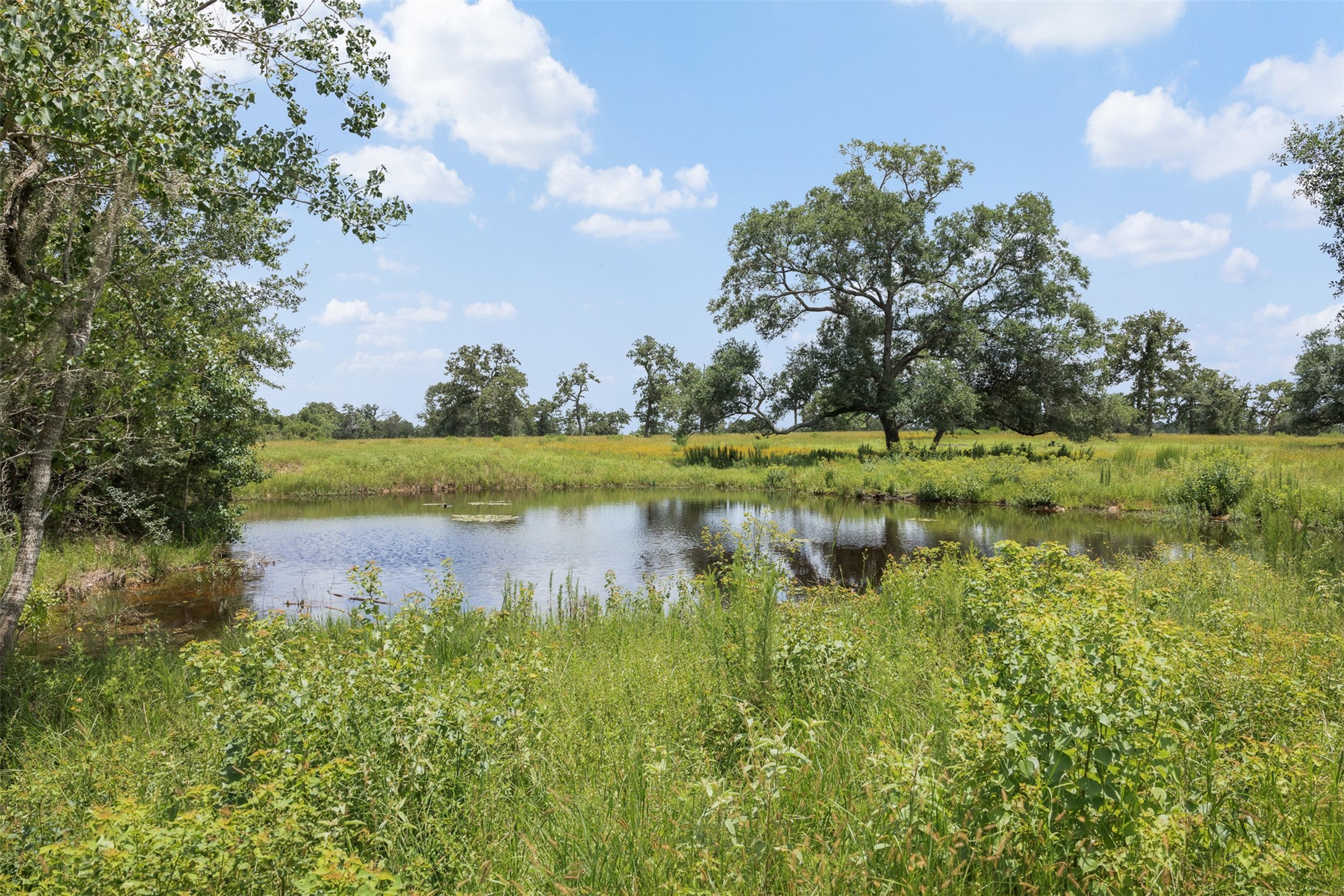 16204 Newberg Road New Ulm, TX 78950 - Photo 21 of 40 Gallery Image 21