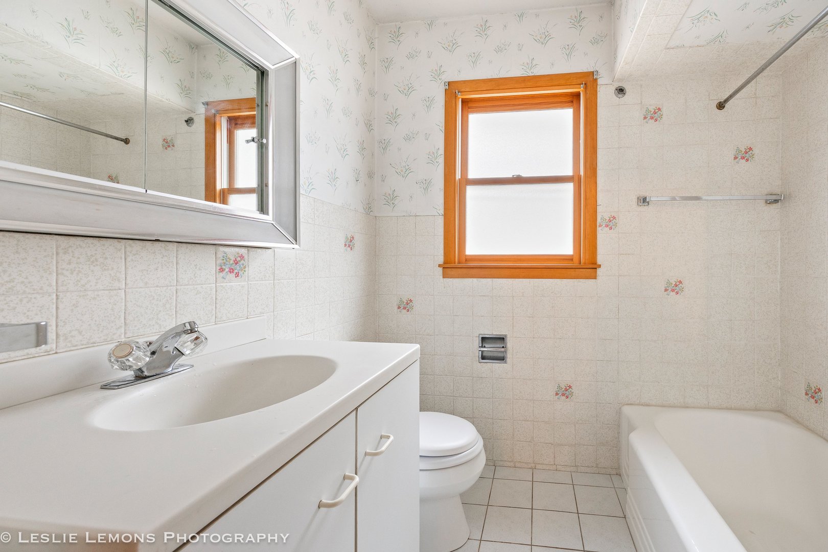 815 North Ellsworth Street Naperville, IL 60563 - Photo 11 of 24