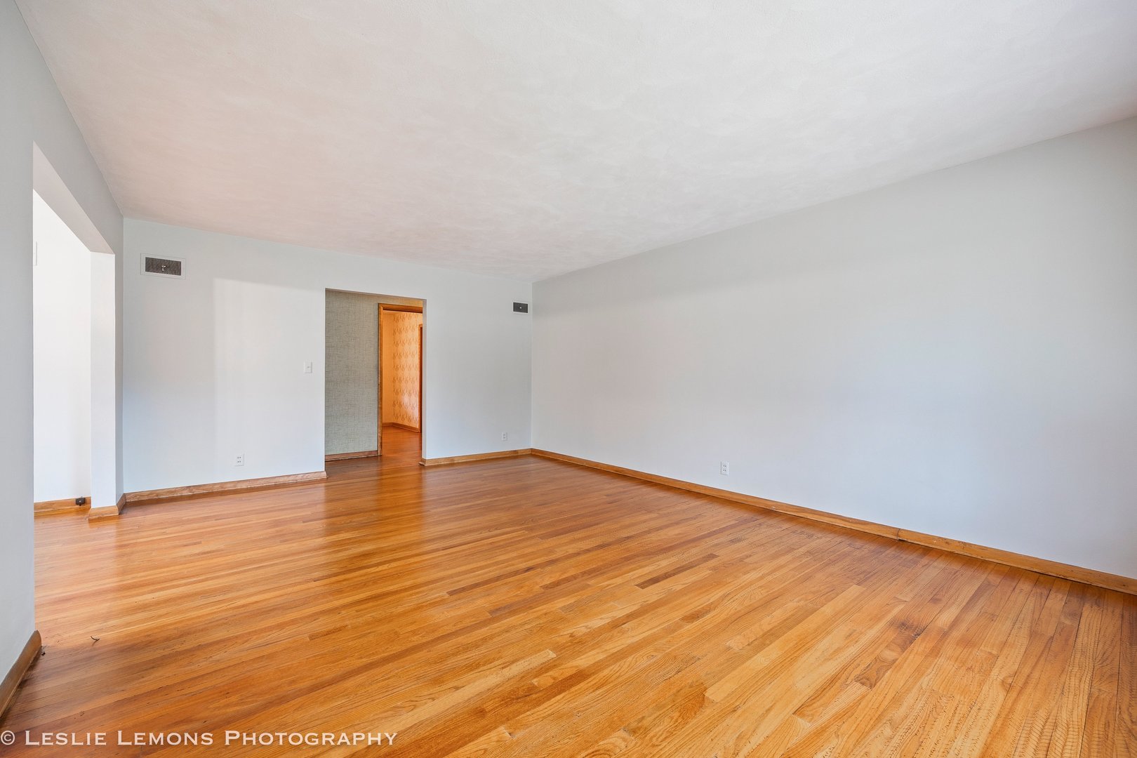 815 North Ellsworth Street Naperville, IL 60563 - Photo 2 of 24