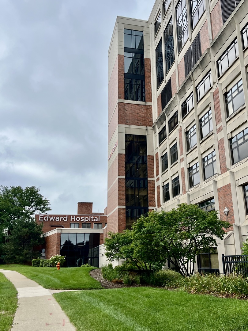 815 North Ellsworth Street Naperville, IL 60563 - Photo 24 of 24