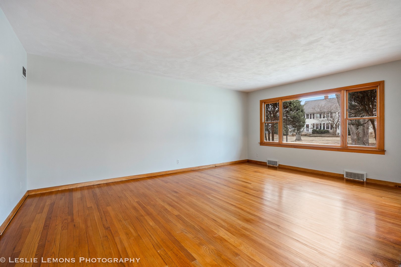 815 North Ellsworth Street Naperville, IL 60563 - Photo 4 of 24