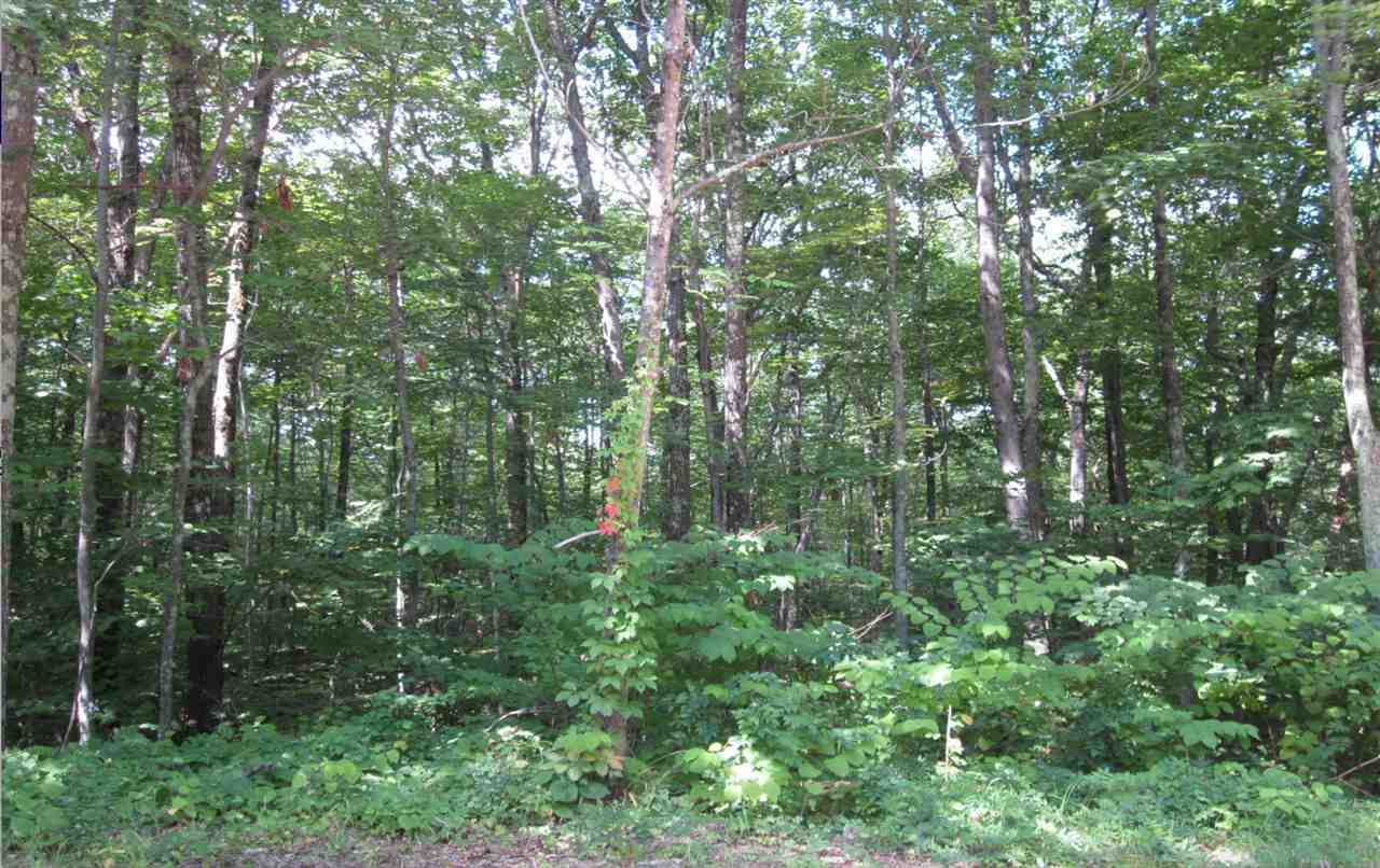 Dry Hill Road Rochester, NH 03867 - Photo 1 of 1