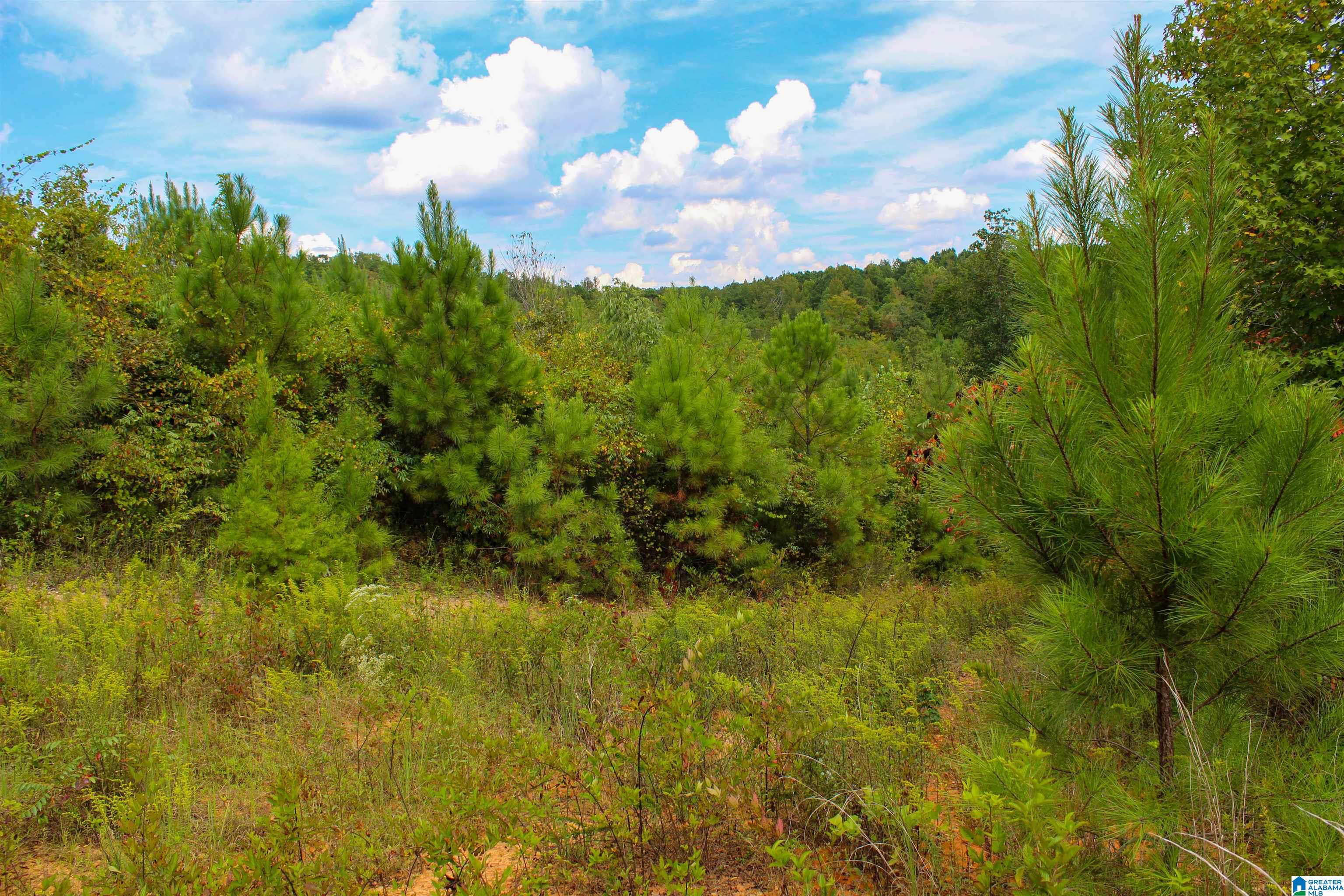 1 Highway 13, Unit 1 Berry, AL 35546 - Photo 39 of 52