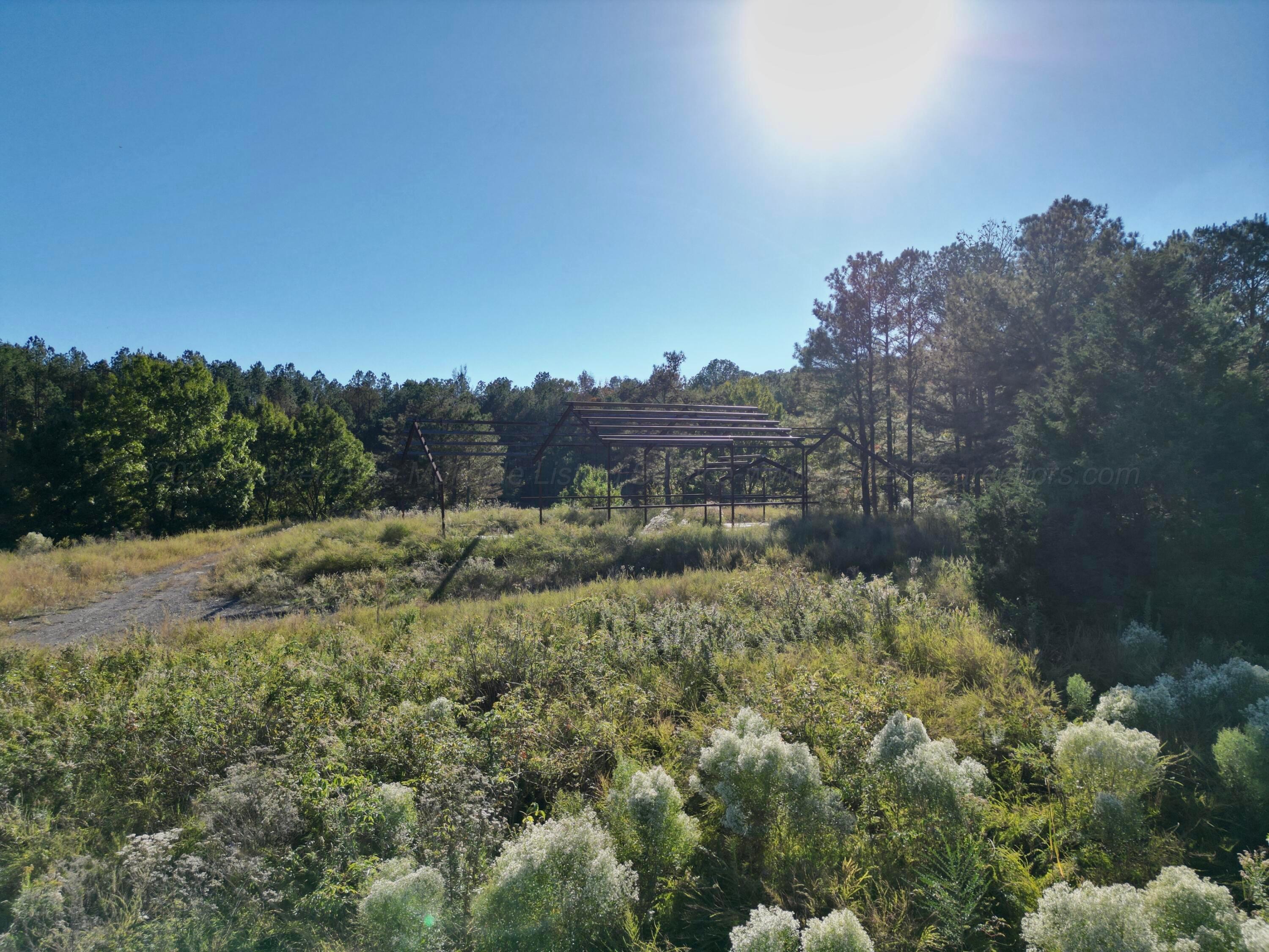 0 Homestead Road Carbon Hill, AL 35549 - Photo 30 of 35 dji_fly_20251103_213054_186_176230475587