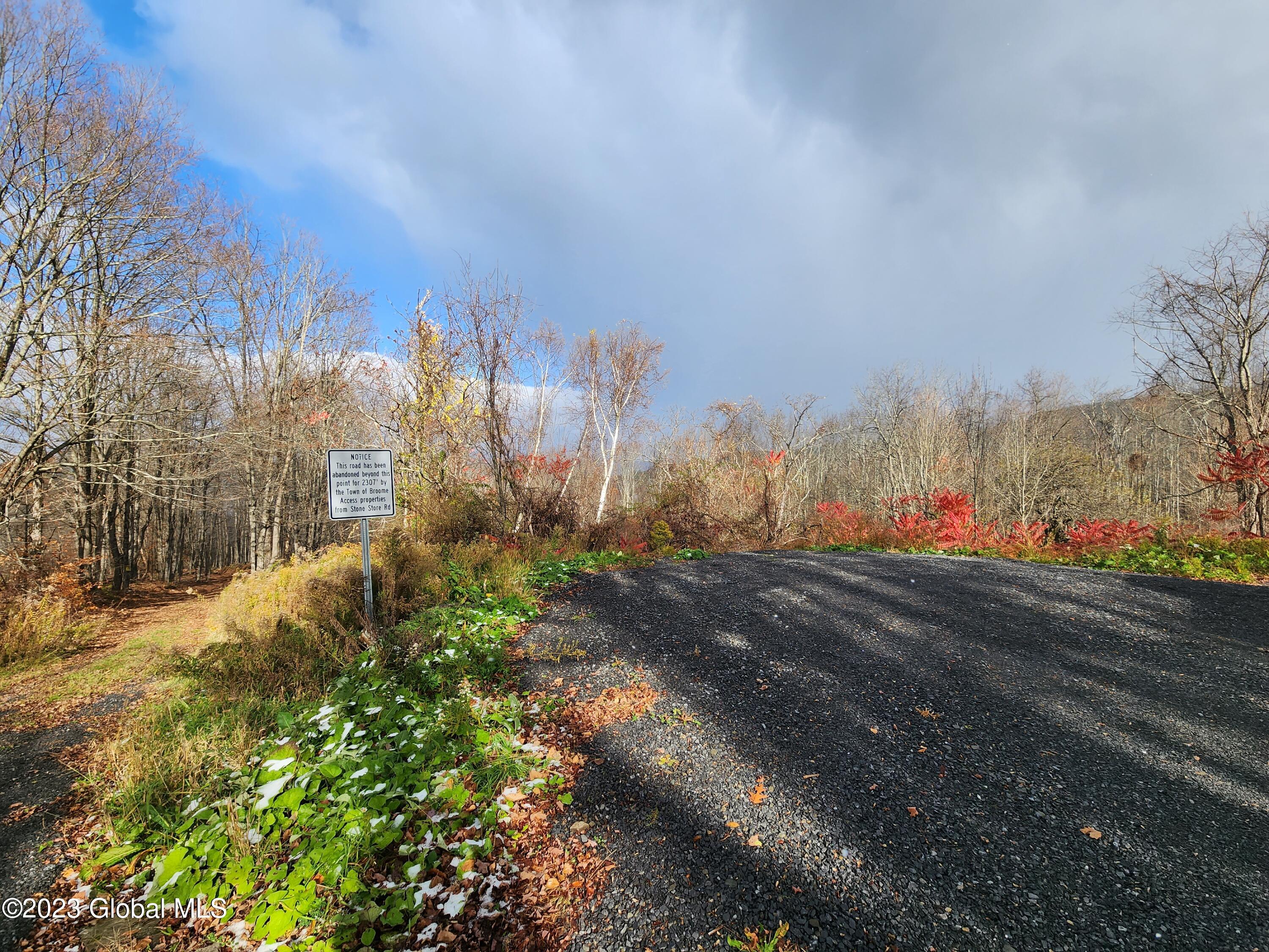 172 Mace Hill Road Broome, NY 12122 - Photo 11 of 15 20231101_134118