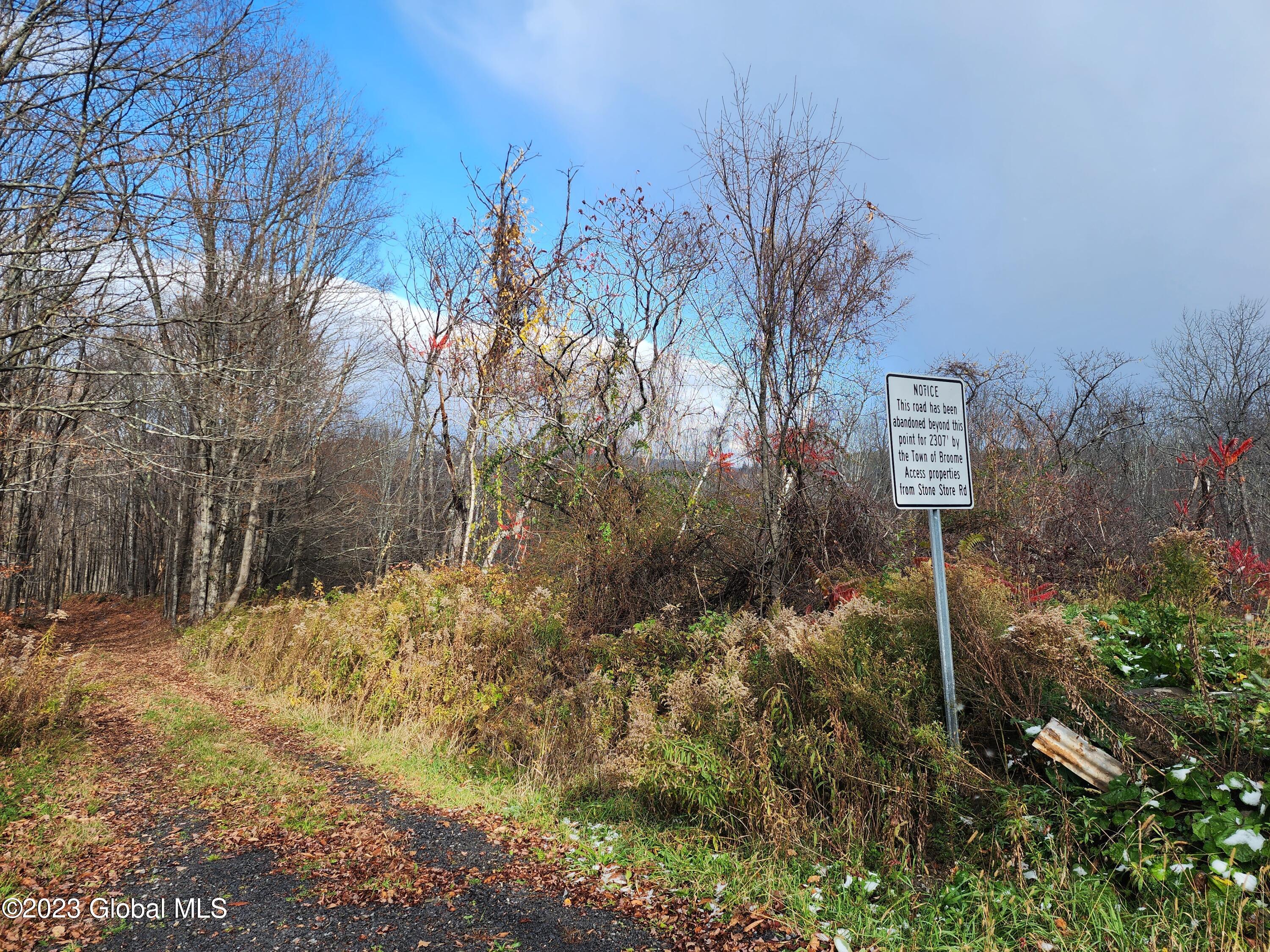 172 Mace Hill Road Broome, NY 12122 - Photo 13 of 15 20231101_134304