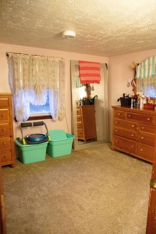 19 Browning Pond Road Spencer, MA 01562 - Photo 10 of 28 Gallery Image 10