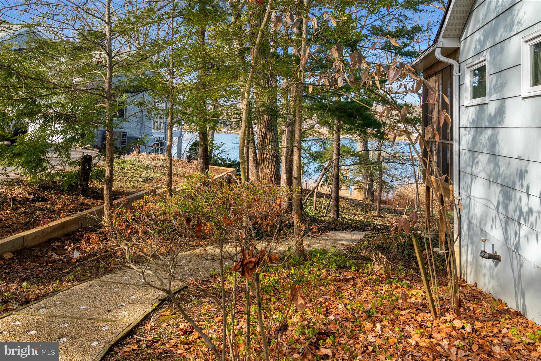 1910 Hidden Point Road Annapolis, MD 21409 - Photo 4 of 18 a backyard of a house with large trees and plants