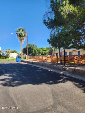 a street view with large trees