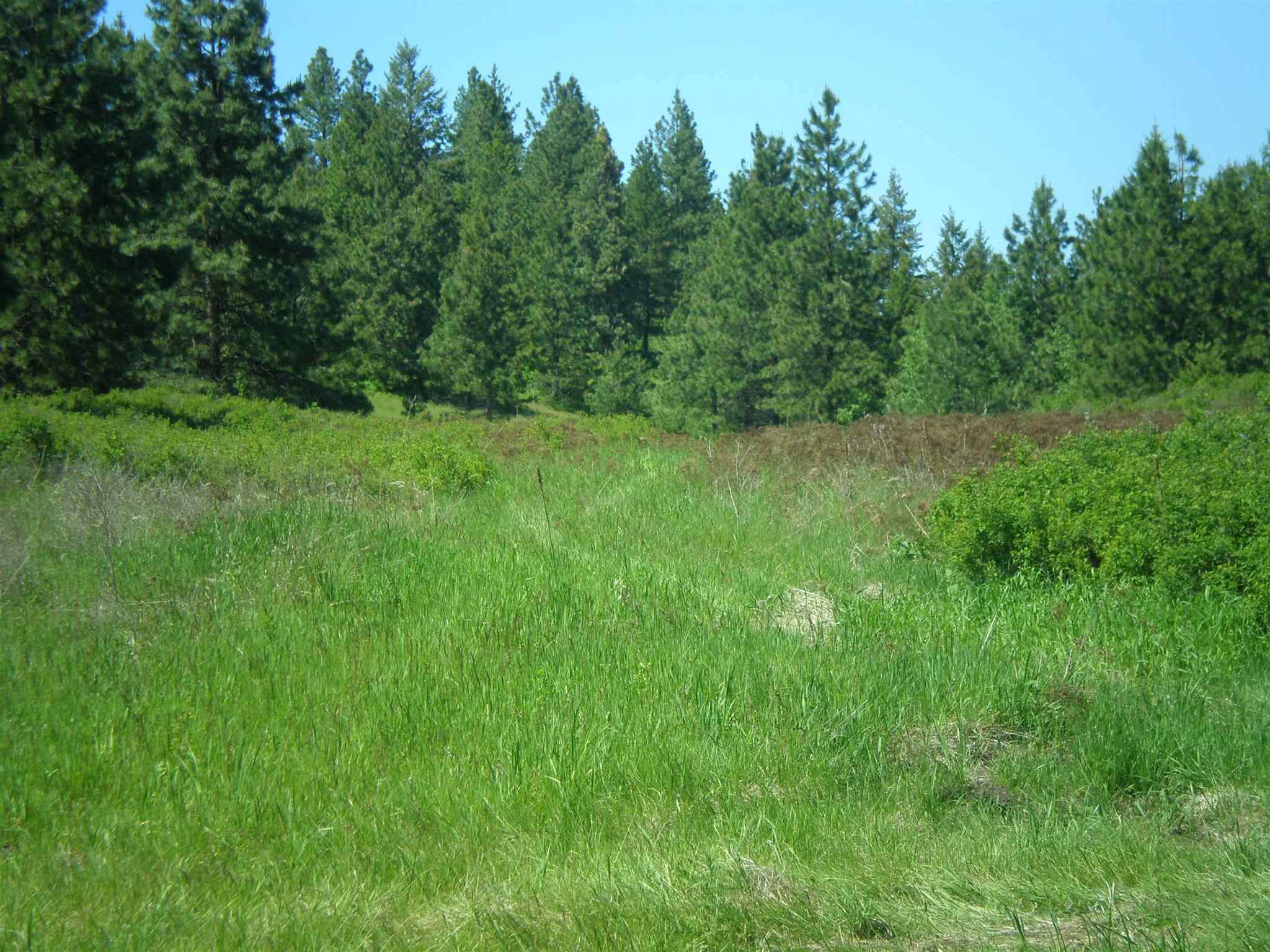 338 X Hoag Road Valley, WA 99181 - Photo 5 of 18 Gallery Image 5
