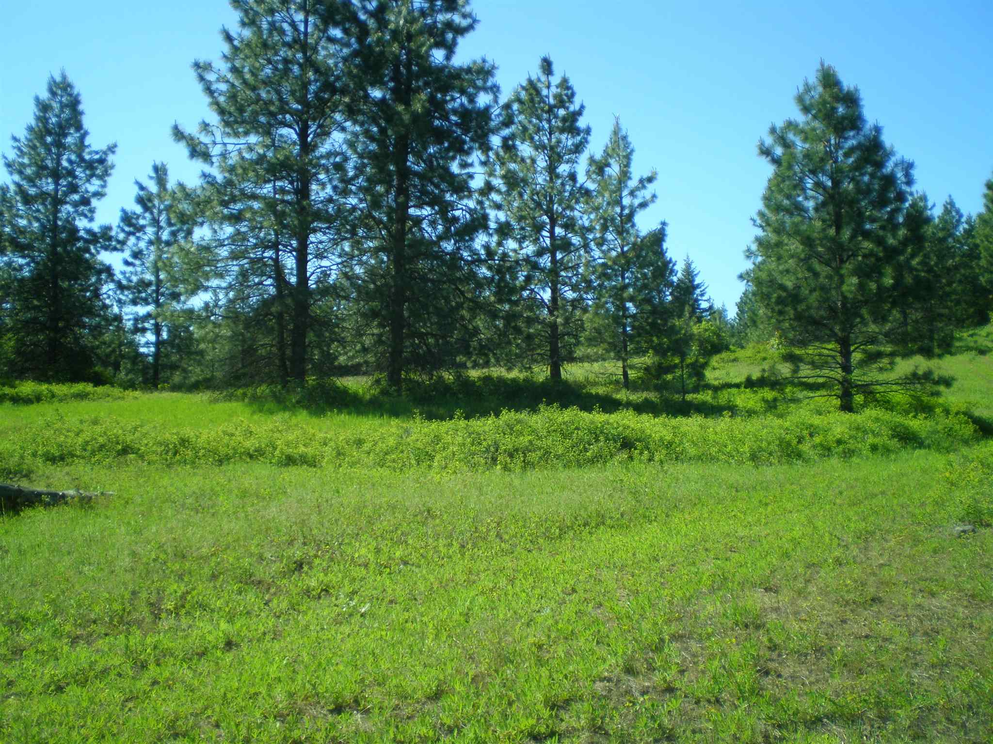 338 X Hoag Road Valley, WA 99181 - Photo 9 of 18 Gallery Image 9