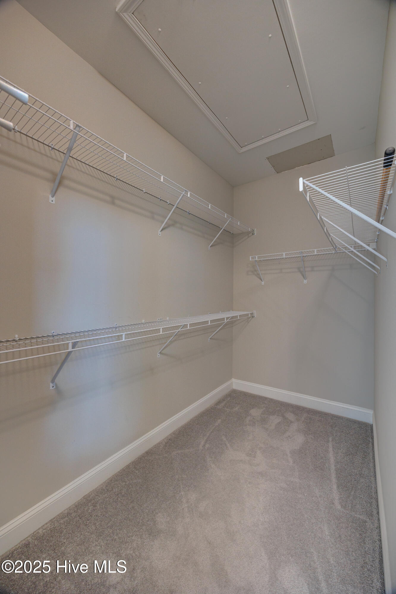 316 Benton Road Wilmington, NC 28412 - Photo 24 of 39 untitled-34