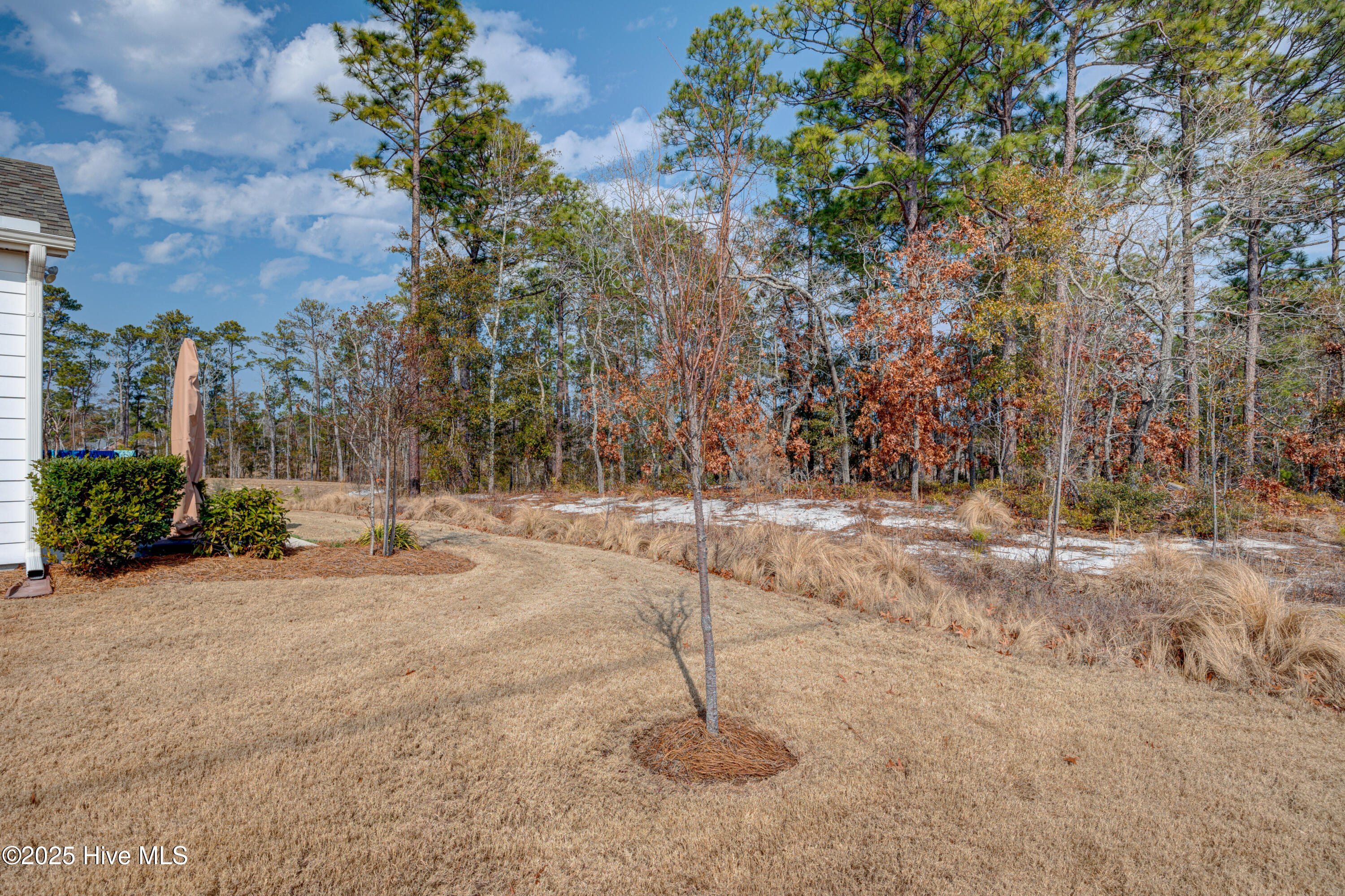 316 Benton Road Wilmington, NC 28412 - Photo 38 of 39 untitled-12