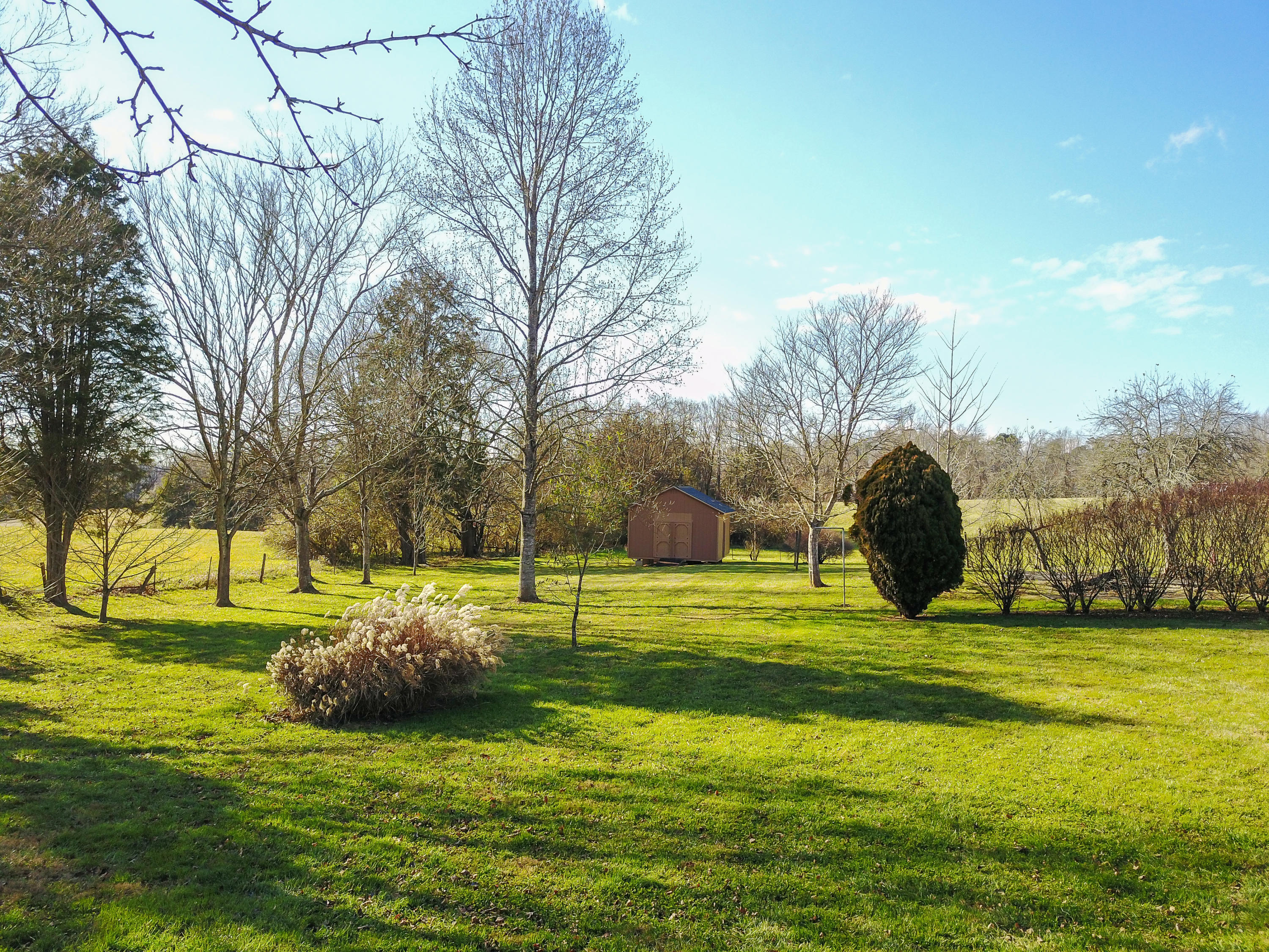 7611 Clapps Chapel Road Corryton, TN 37721 - Photo 5 of 39 7611 Clapps Chapel Road -04