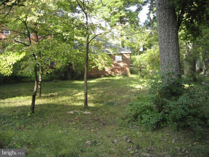 4512 Amherst Road College Park, MD 20740 - Photo 8 of 8 Back yard