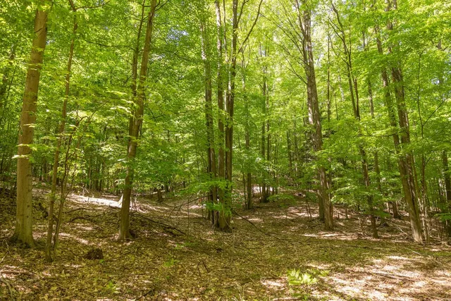 $299,900 | V/l V/l Amber Road, Mears, MI 49436