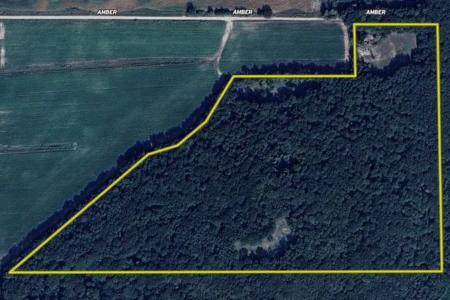 $299,900 | V/l V/l Amber Road, Mears, MI 49436