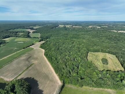 V/l V/l Amber Road Mears, MI 49436 - Photo 2 of 53 2