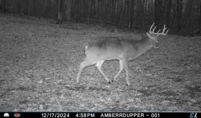 $299,900 | V/l V/l Amber Road, Mears, MI 49436