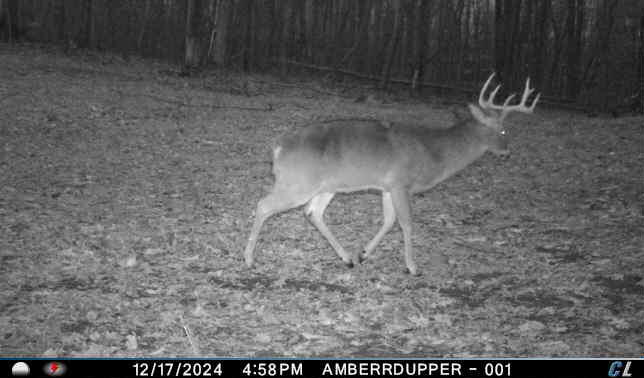 V/l V/l Amber Road Mears, MI 49436 - Photo 22 of 53 3 copy 2