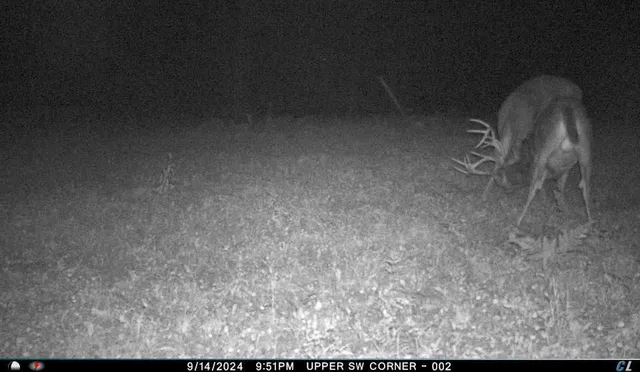 $299,900 | V/l V/l Amber Road, Mears, MI 49436