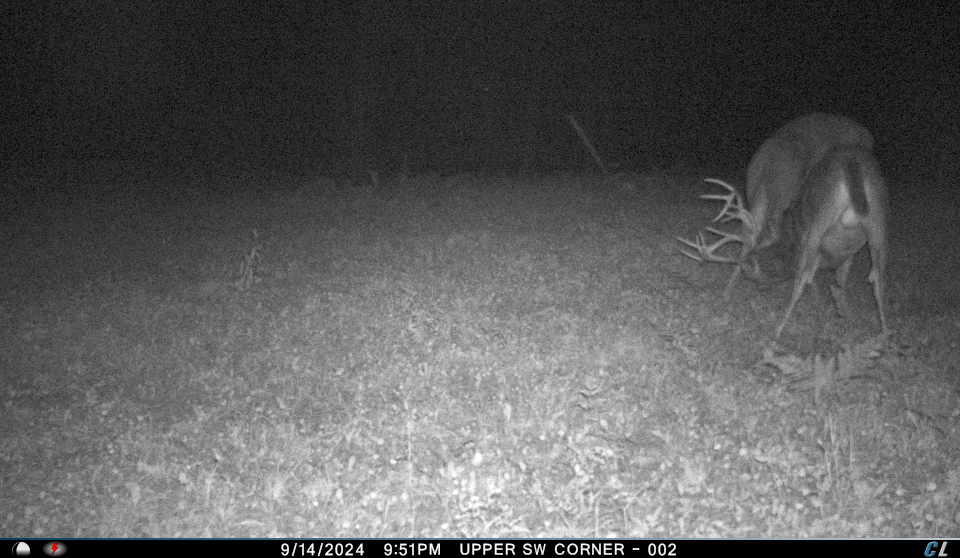 V/l V/l Amber Road Mears, MI 49436 - Photo 23 of 53 4 2