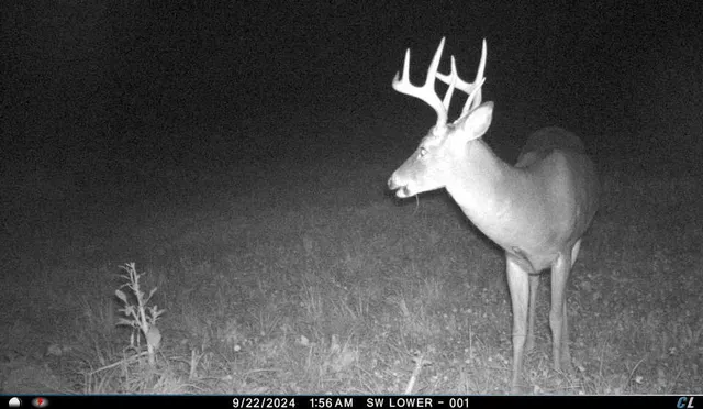 $299,900 | V/l V/l Amber Road, Mears, MI 49436