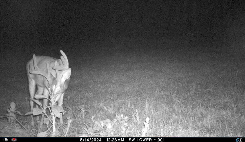 V/l V/l Amber Road Mears, MI 49436 - Photo 27 of 53 5 6