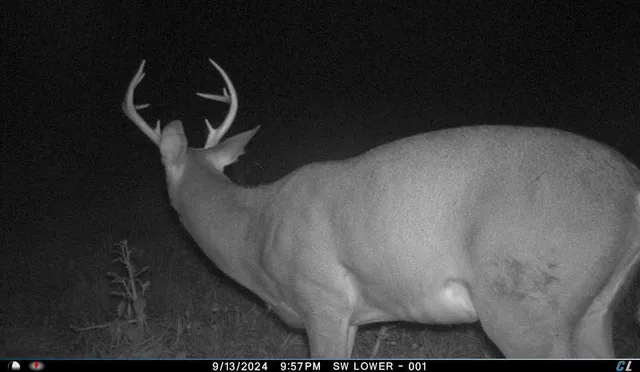 $299,900 | V/l V/l Amber Road, Mears, MI 49436