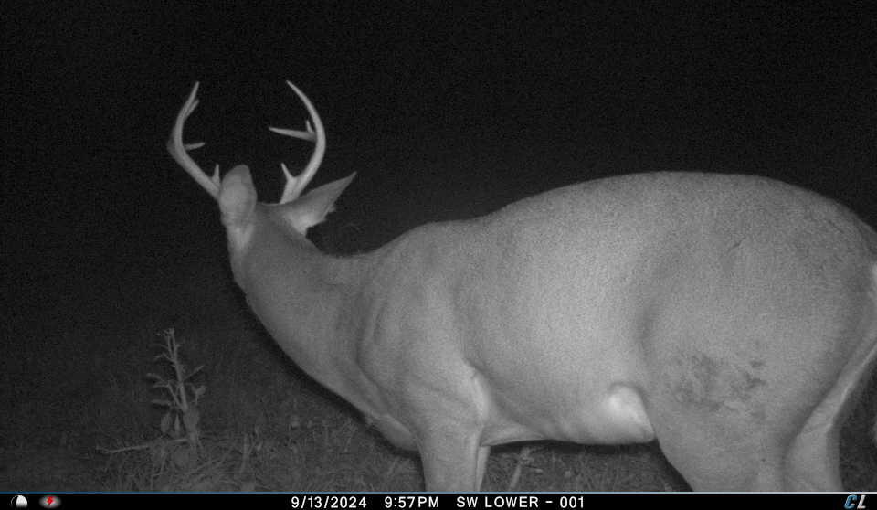 V/l V/l Amber Road Mears, MI 49436 - Photo 29 of 53 6 4