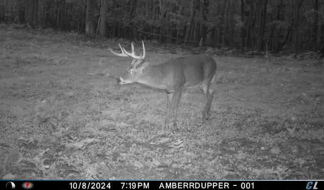 $299,900 | V/l V/l Amber Road, Mears, MI 49436