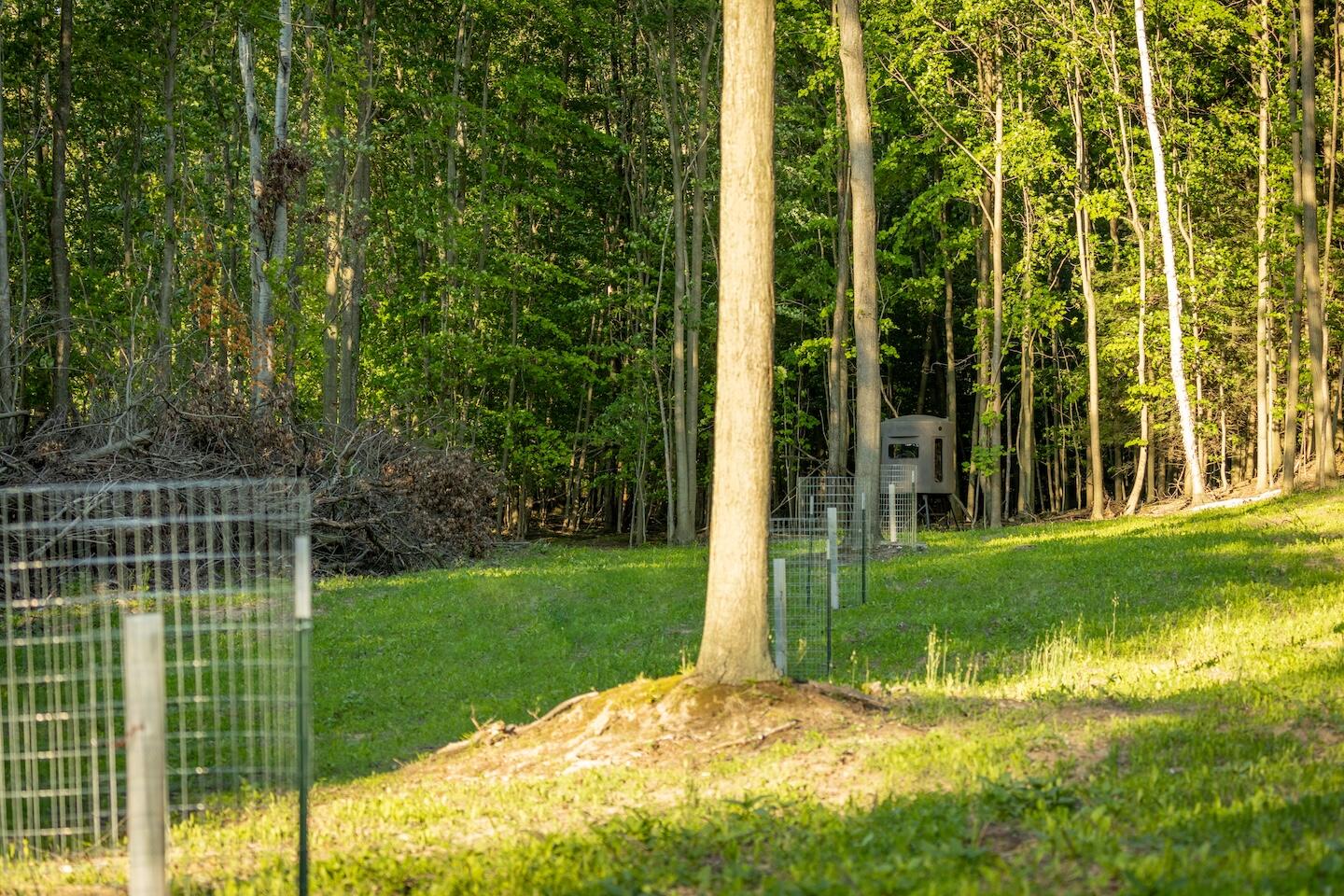 V/l V/l Amber Road Mears, MI 49436 - Photo 3 of 53 3