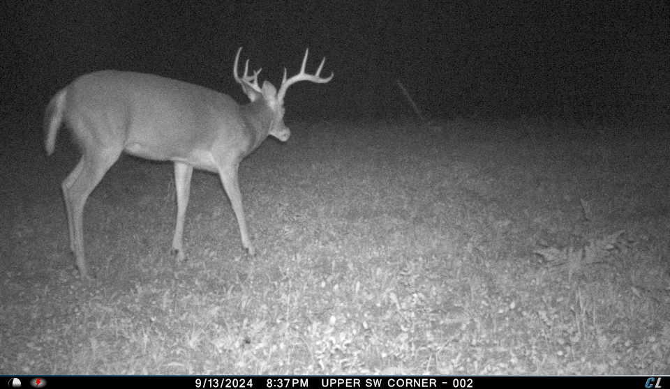 V/l V/l Amber Road Mears, MI 49436 - Photo 32 of 53 7