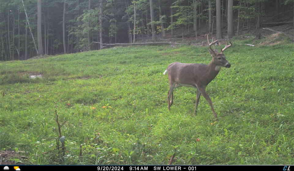 V/l V/l Amber Road Mears, MI 49436 - Photo 34 of 53 8