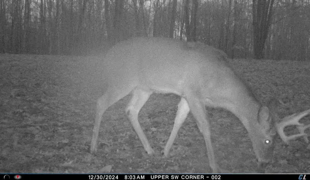 $299,900 | V/l V/l Amber Road, Mears, MI 49436